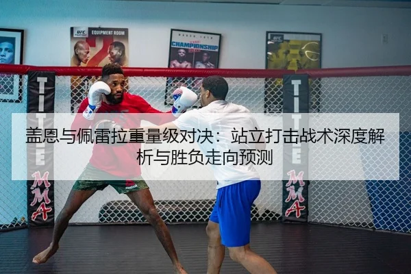 盖恩与佩雷拉重量级对决：站立打击战术深度解析与胜负走向预测